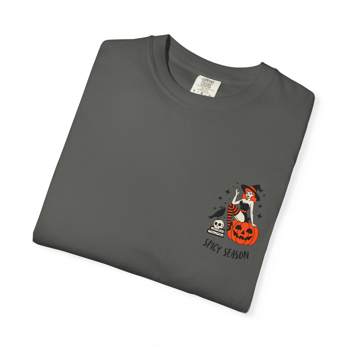 Pumpkins, Passion & Paperbacks Comfort Colors® Tee