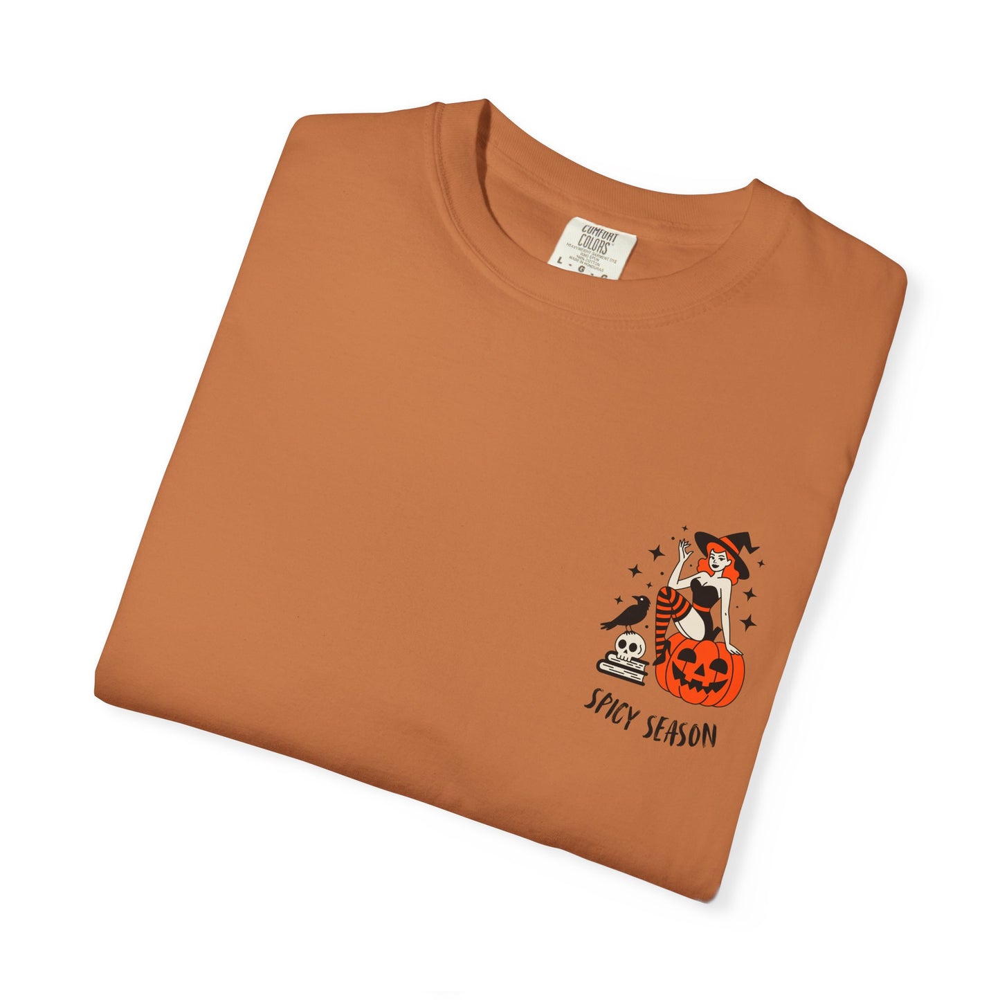 Pumpkins, Passion & Paperbacks Comfort Colors® Tee