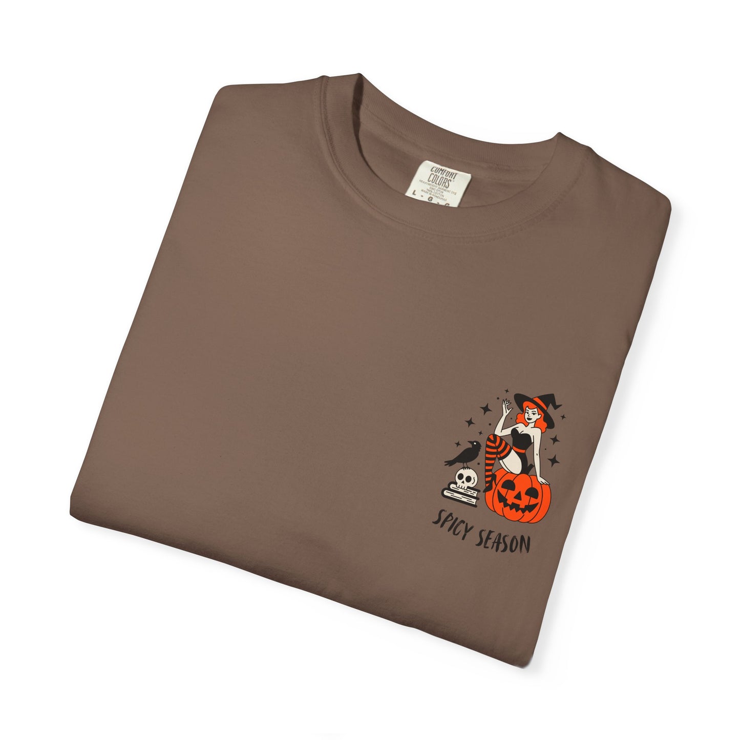 Pumpkins, Passion & Paperbacks Comfort Colors® Tee