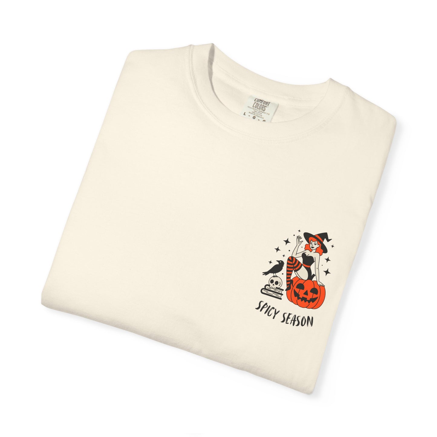 Pumpkins, Passion & Paperbacks Comfort Colors® Tee